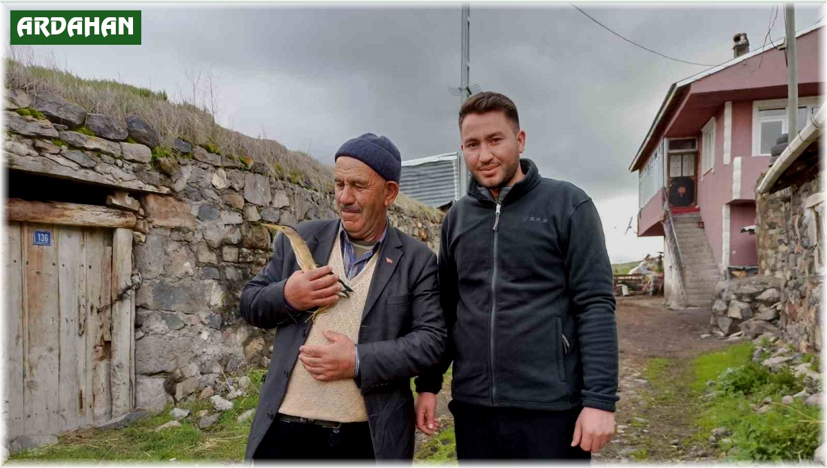 Bitkin bitkin halde bulunan balaban kuşu tedaviye alındı