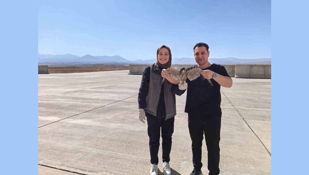 Bitkin halde bulunan yaralı Delice Doğan tedavi altına alındı