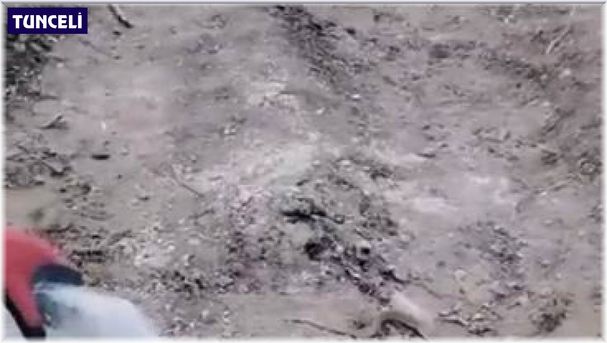 Bitkin haldeki dev yılanı su vererek kendine getirmeye çalıştılar