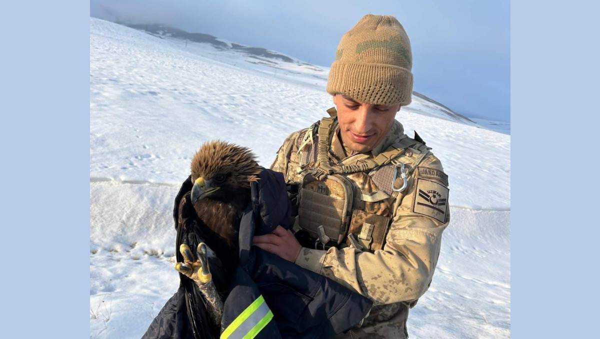 Bitkin kartal jandarmanın şefkatli ellerinde