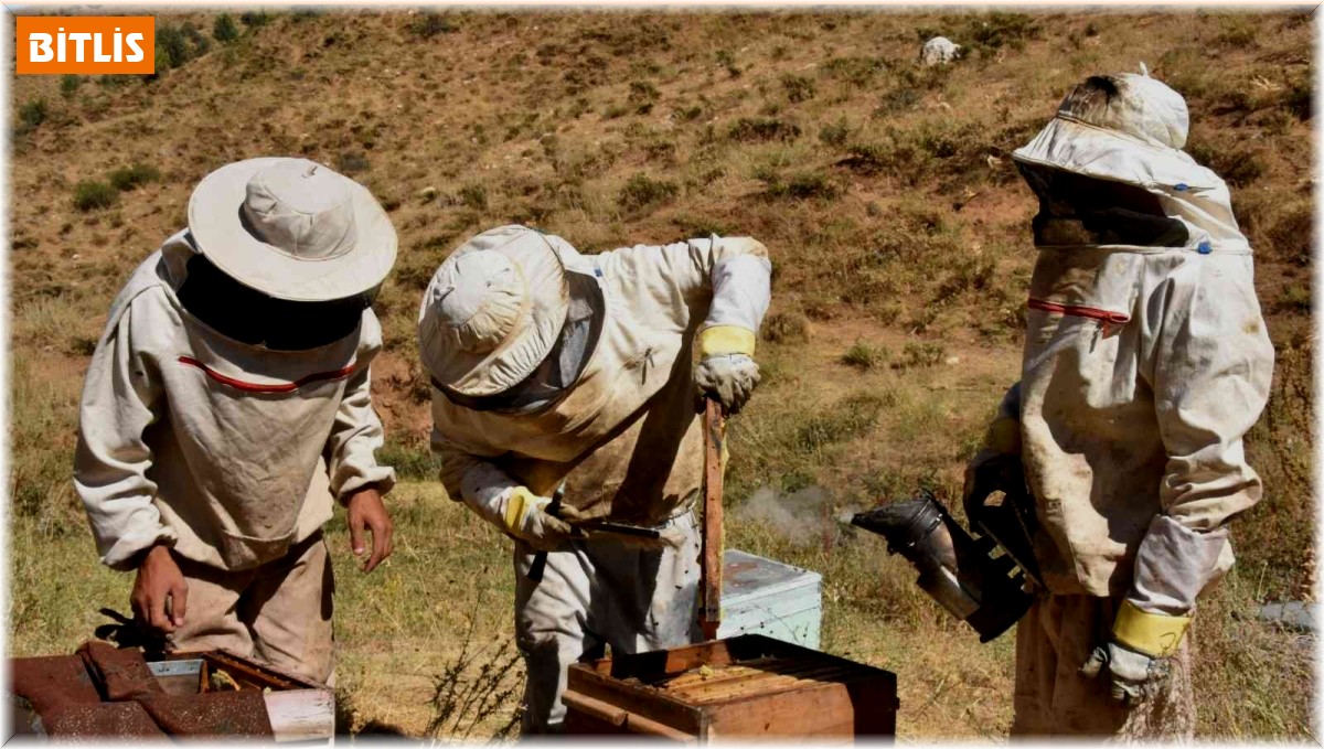 Bitlis balı Londra'da 'Altın Bal' yarışmasında birinci oldu