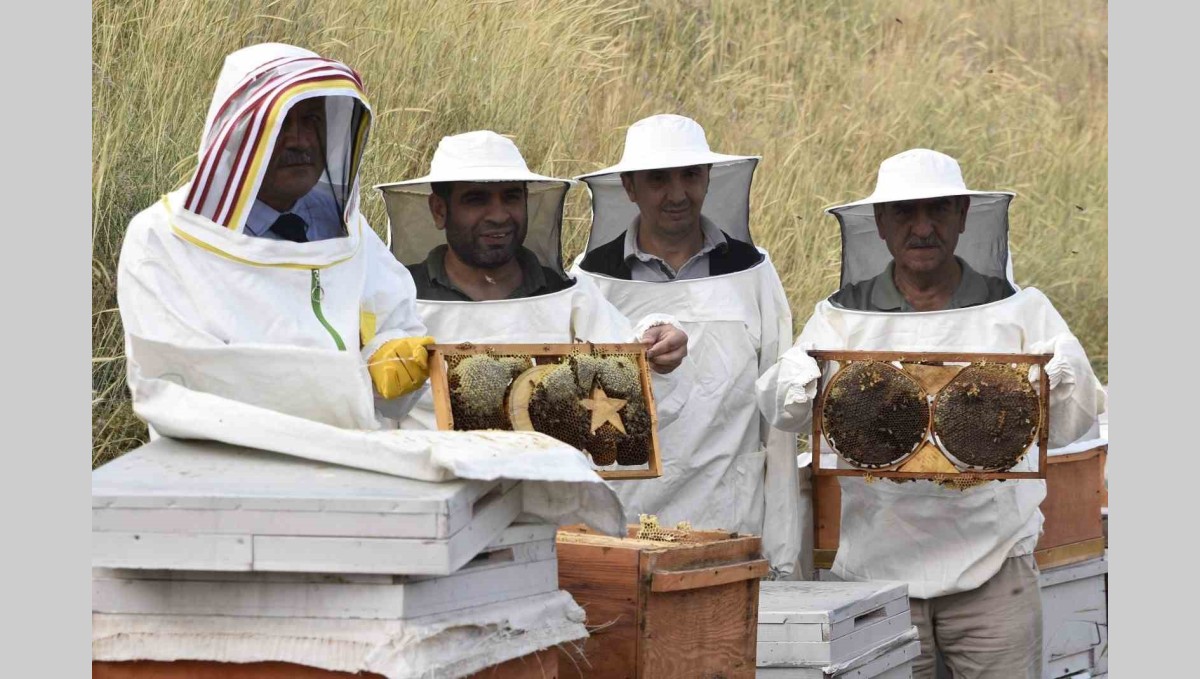 Bitlis Eren Üniversitesinde yüksek kaliteli bal hasadı başladı