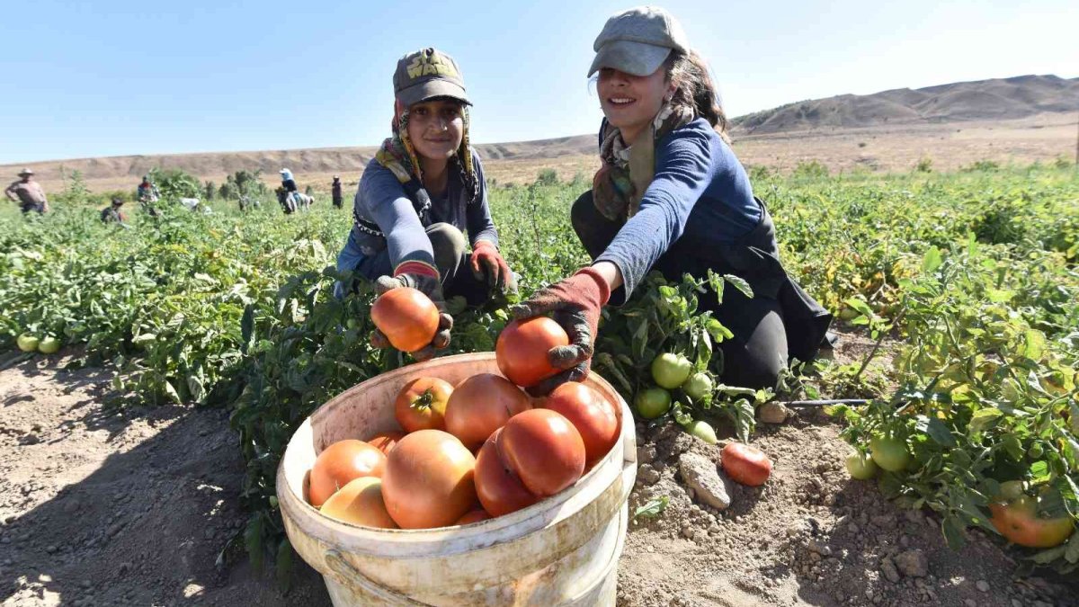 Bitlis ihracatta ilk 6 ayda Türkiye 4'ncüsü oldu