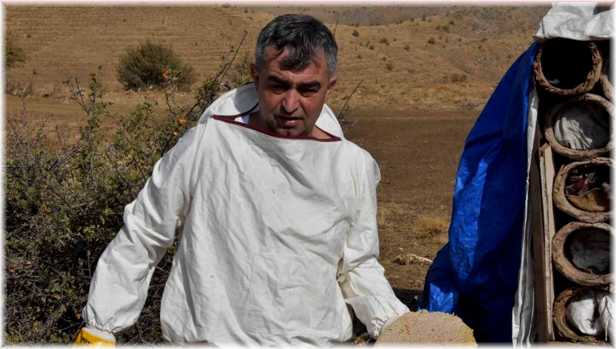 Bitlis'in meşhur karakovan balının hasadına başlandı