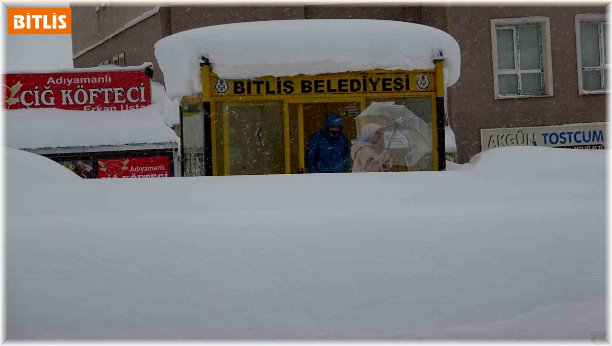 Bitlis kara gömüldü