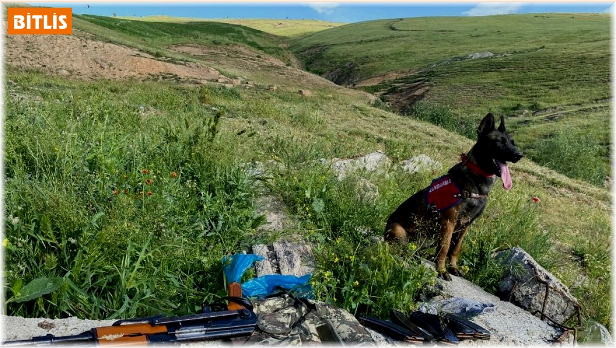 Bitlis merkezli silah kaçakçılığı operasyonu