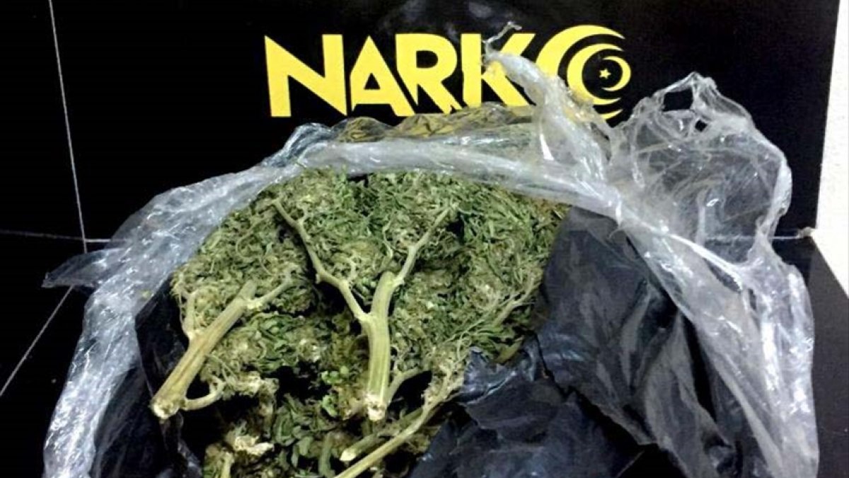 Bitlis'te 1 kilo 950 gram esrar ele geçirildi