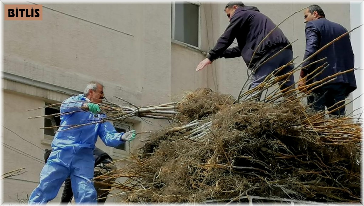 Bitlis'te 1 milyon meyve fidanı projesinin 2. etabı devam ediyor