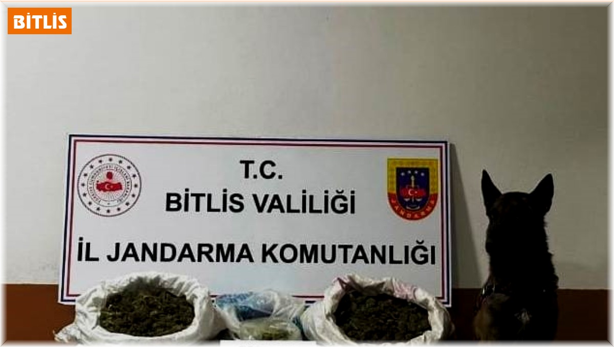 Bitlis'te 10 kilo 200 gram skunk maddesi ele geçirildi