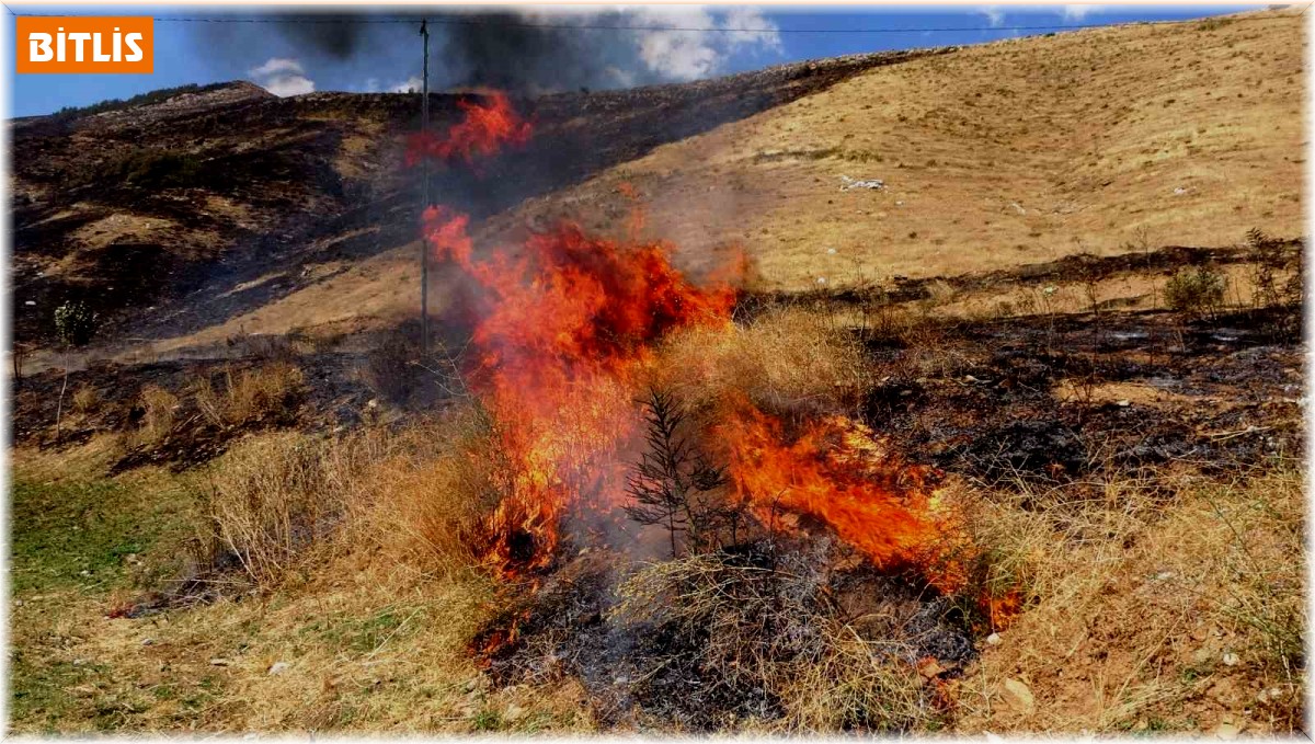 Bitlis'te 12 hektarlık alanda örtü yangını çıktı