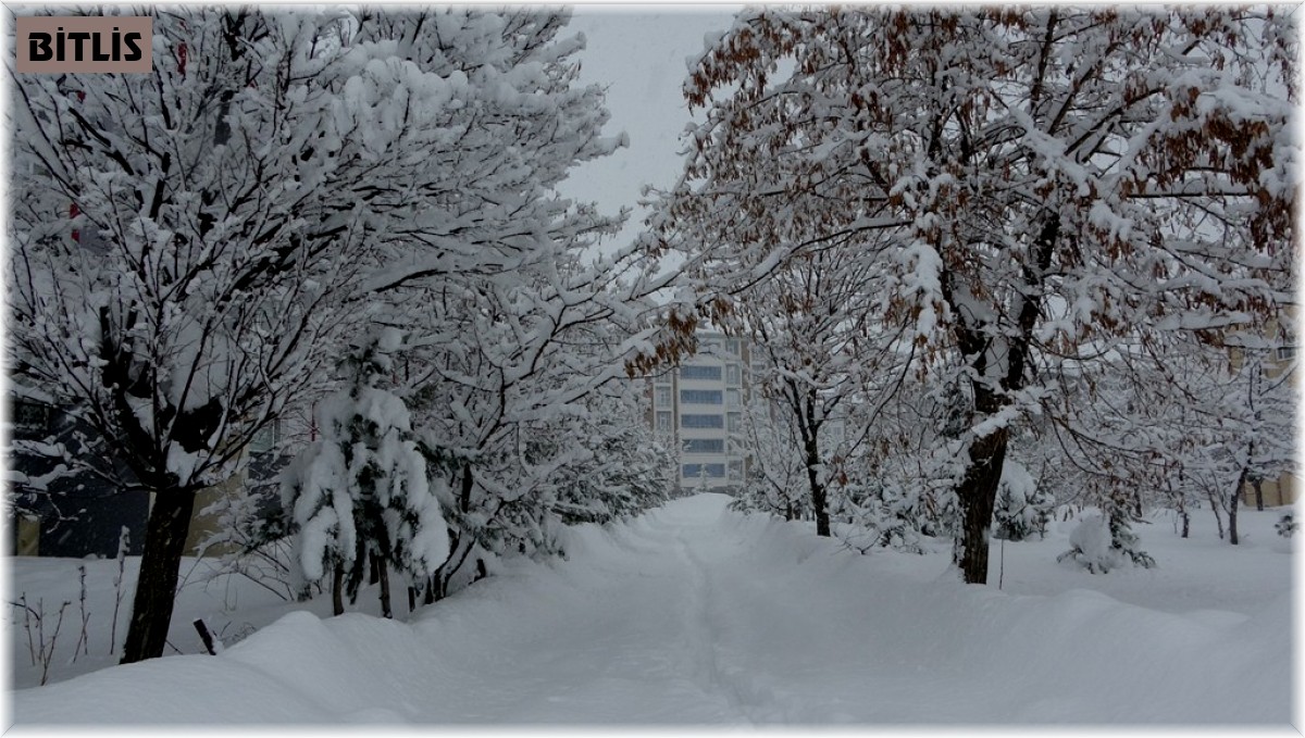 Bitlis'te 203 köy yolu ulaşıma kapandı