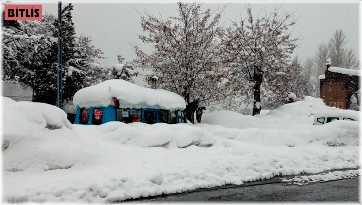 Bitlis'te 248 köy yolu ulaşıma kapandı