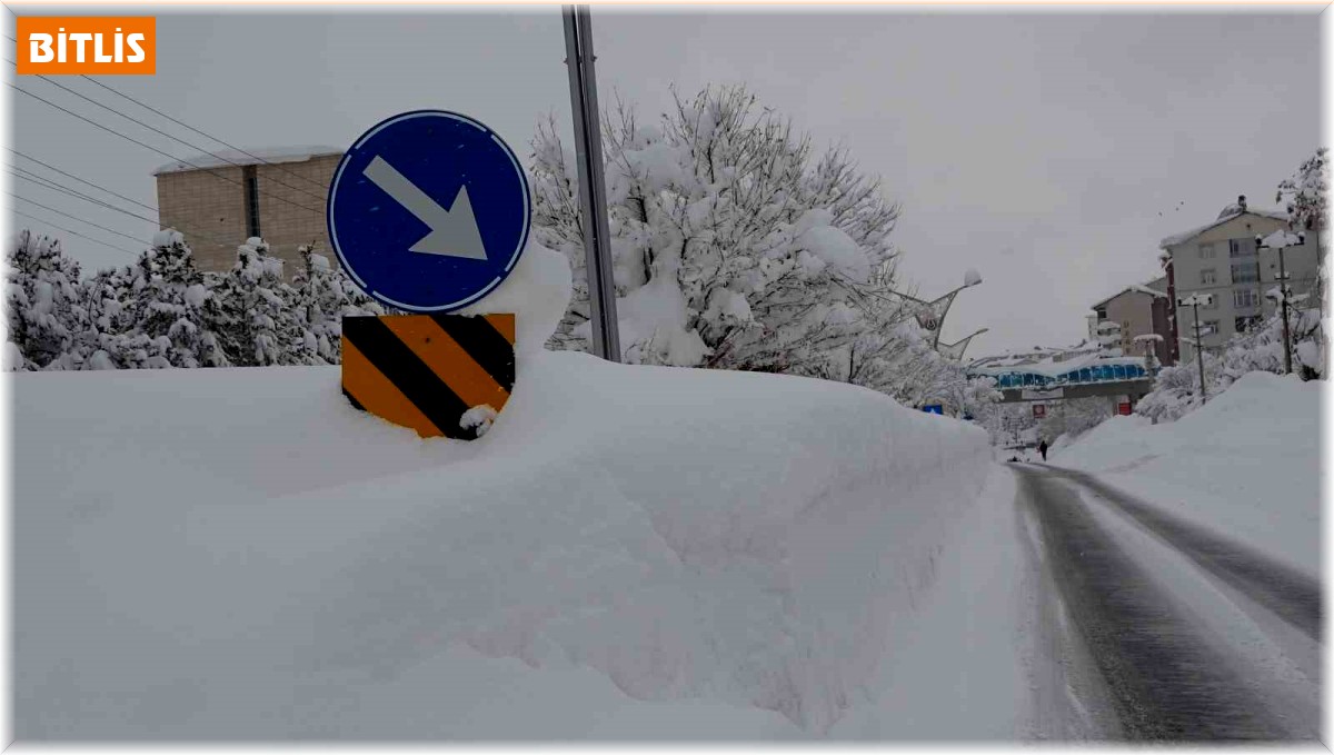 Bitlis'te 251 köy yolu ulaşıma kapandı