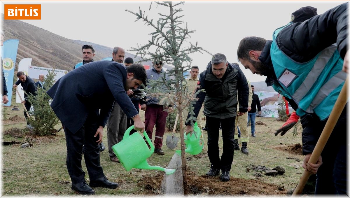 Bitlis'te 3 bin fidan dikildi