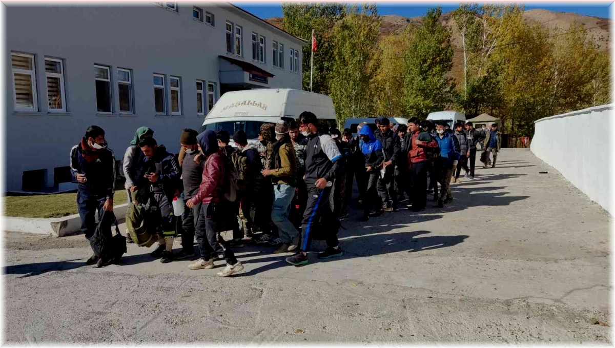 Bitlis'te 48 düzensiz göçmen yakalandı