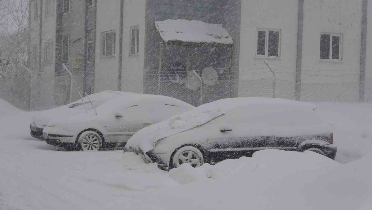 Bitlis'te 51 köy yolu ulaşıma kapandı