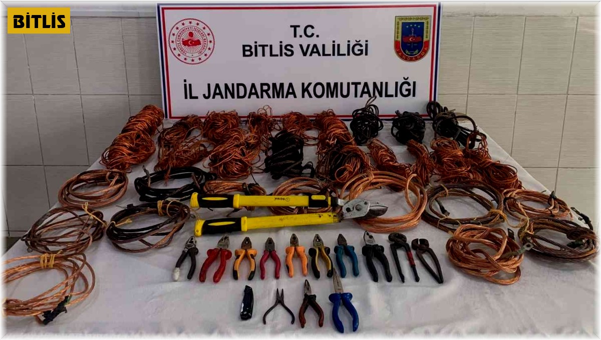 Bitlis'te 8 hırsızlık şüphelisi yakalandı