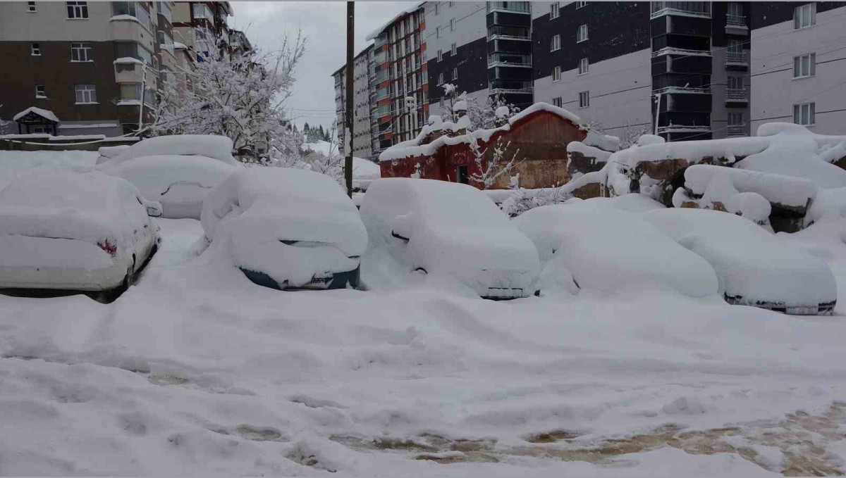 Bitlis'te arabalar ve tek katlı evler kara gömüldü