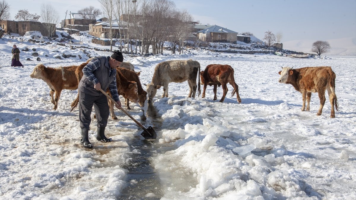 Bitlis'te besiciler, yüzeyi donan gölde buzu kırıp hayvanlara su içiriyor