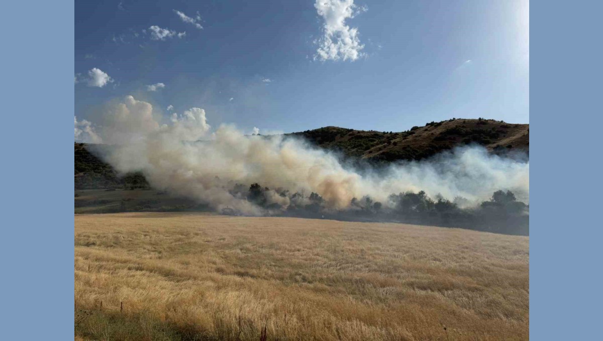 Bitlis'te buğday tarlasında çıkan yangın büyümeden söndürüldü