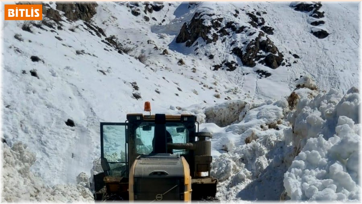 Bitlis'te bütün köy yolları açıldı