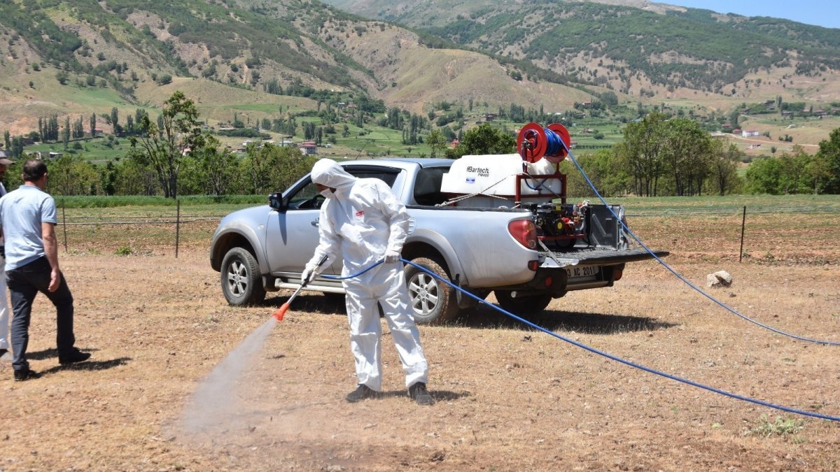 Bitlis'te çekirge istilası korkusu