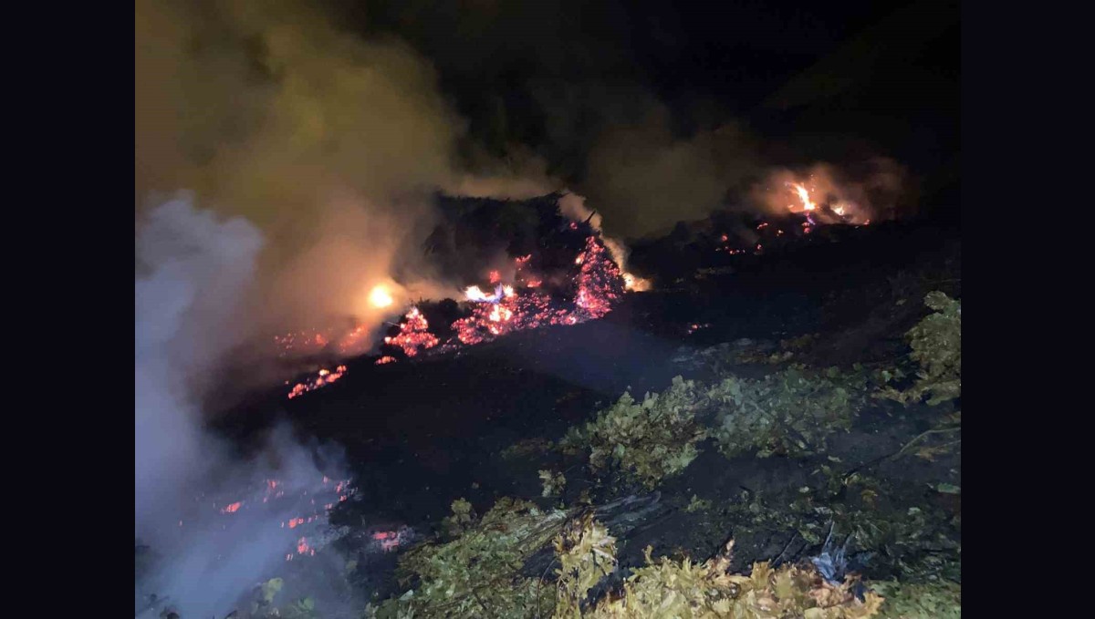 Bitlis'te çıkan yangında ot yığınları kül oldu
