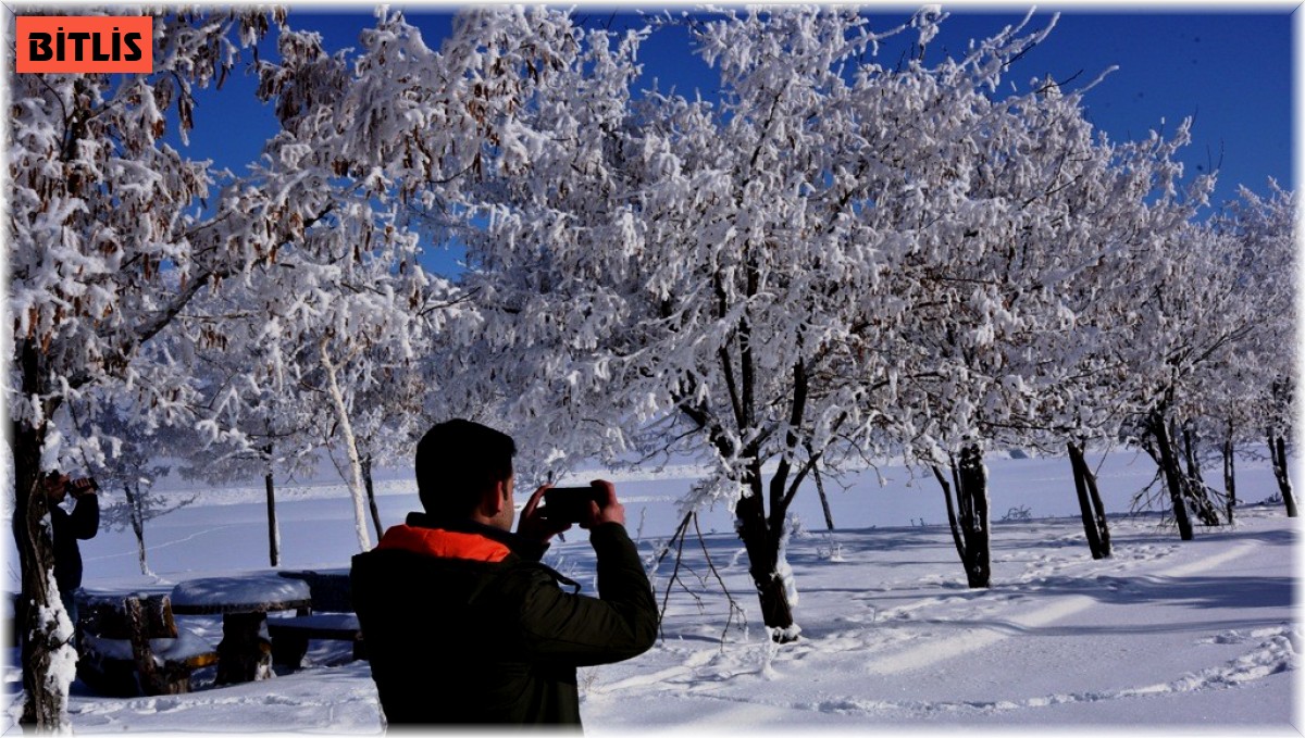 Bitlis'te dondurucu soğuk