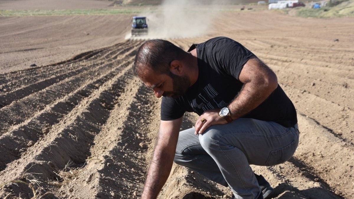Bitlis'te fasulye ekimine başlandı