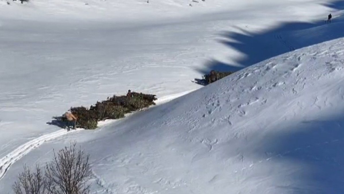 Bitlis'te hayvanlar için kızaklı yem mesaisi