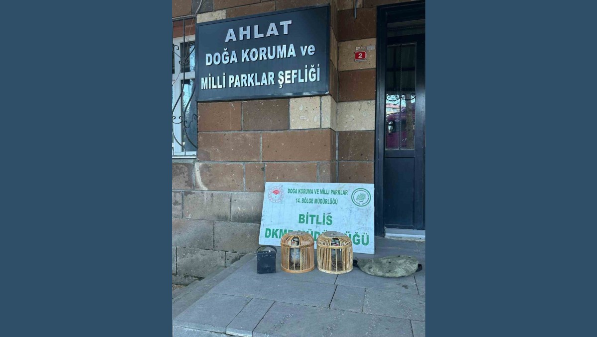 Bitlis'te kaçak keklik avına 101 bin 710 lira para cezası
