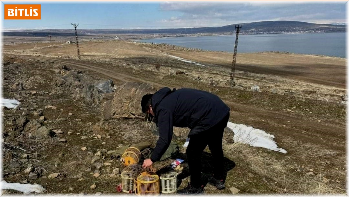 Bitlis'te kaçak keklik avlayan 4 kişiye 88 bin lira idari para cezası kesildi