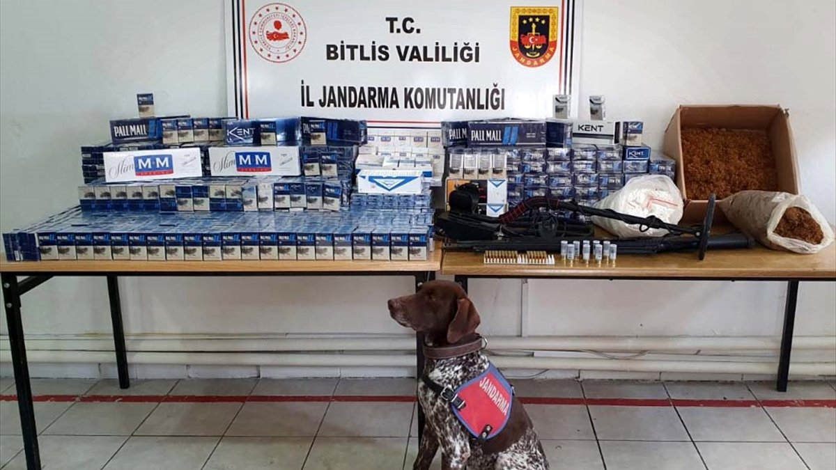 Bitlis'te kaçak sigara, ruhsatsız av tüfeği ve mühimmat ele geçirildi