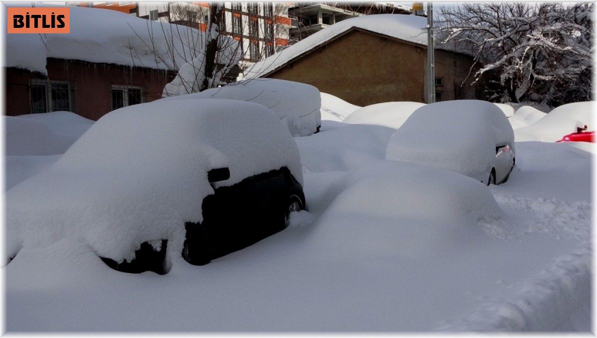 Bitlis'te kapanan 282 köy yolundan 98'i açıldı