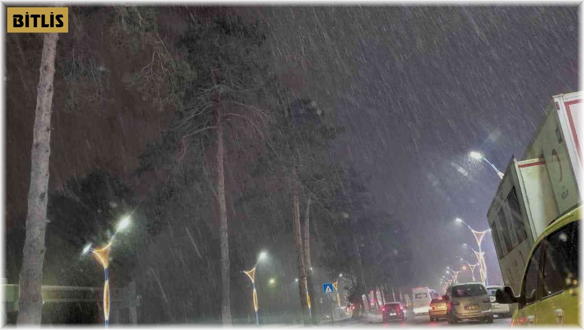 Bitlis'te kar