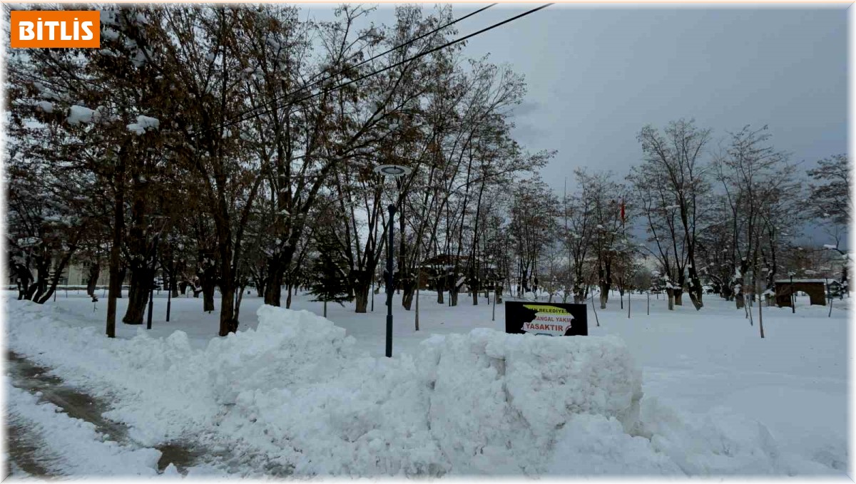 Bitlis'te kar esareti devam ediyor