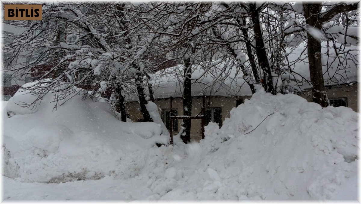 Bitlis'te kar esareti devam ediyor