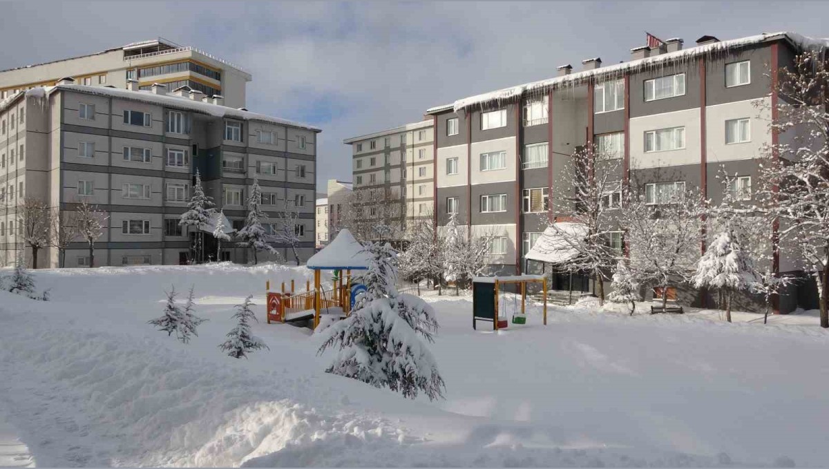 Bitlis'te kar yağışı: 219 köy yolu ulaşıma kapandı