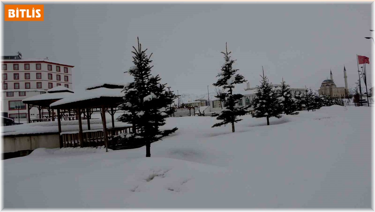 Bitlis'te kar yağışı: 4 köy yolu ulaşıma kapandı