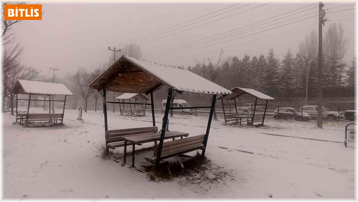 Bitlis'te kar yağışı etkili oldu