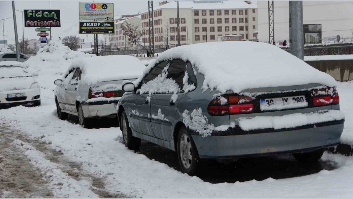 Bitlis'te kar yağışı etkili oldu