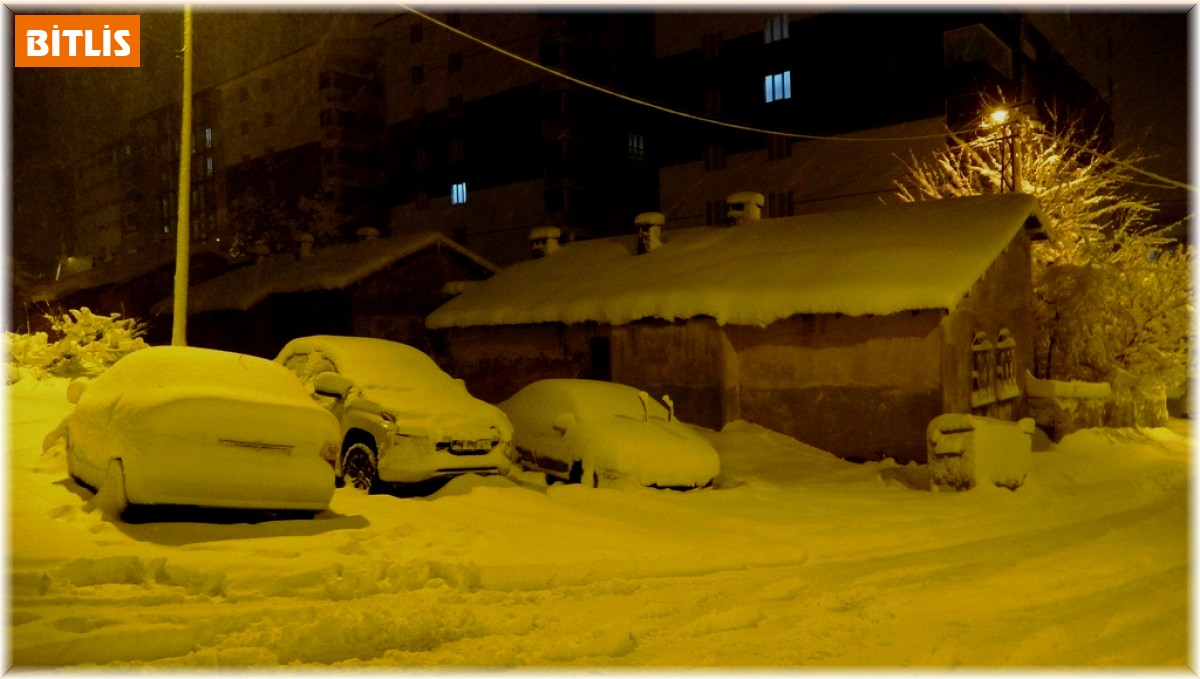 Bitlis'te kar yağışı etkisini arttırdı