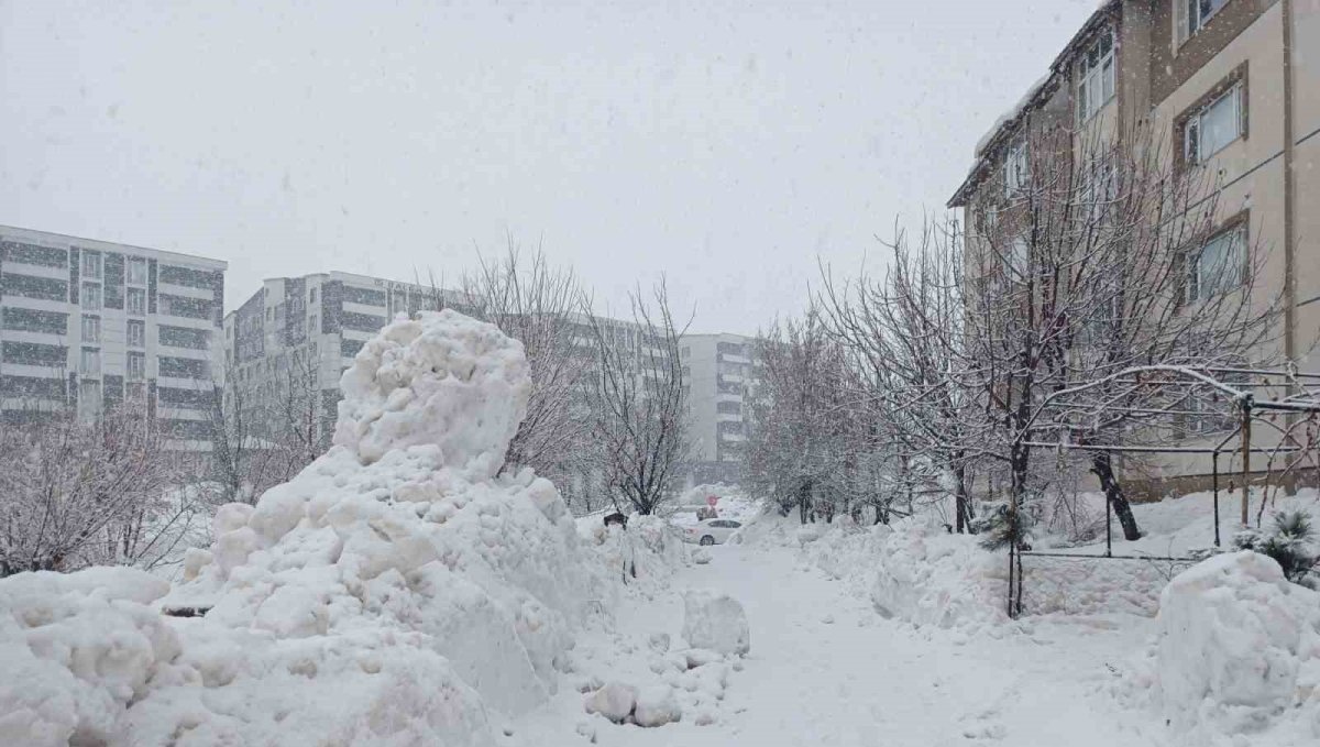 Bitlis'te kar yağışı yeniden etkili olmaya başladı