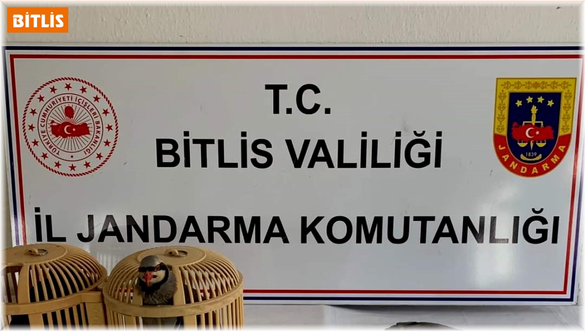 Bitlis'te keklik avlayan 2 kişiye 26 bin 635 lira para cezası uygulanacak