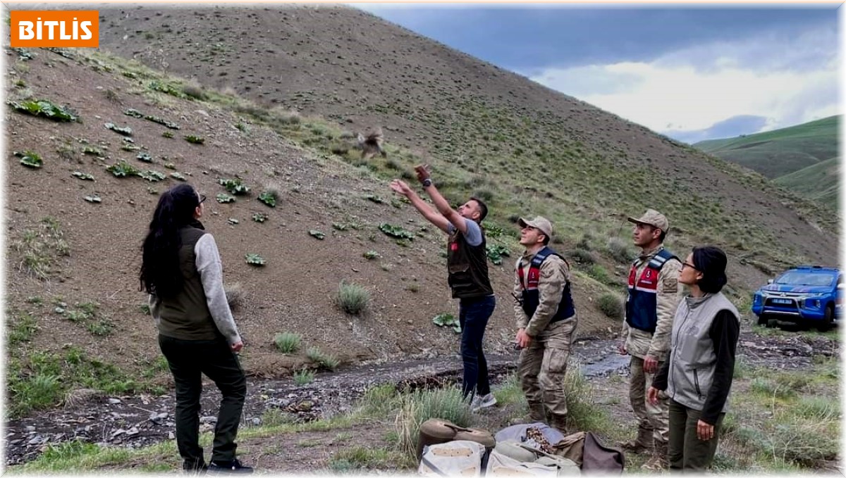 Bitlis'te keklik avlayan 2 kişiye 50 bin 824 lira para cezası uygulandı