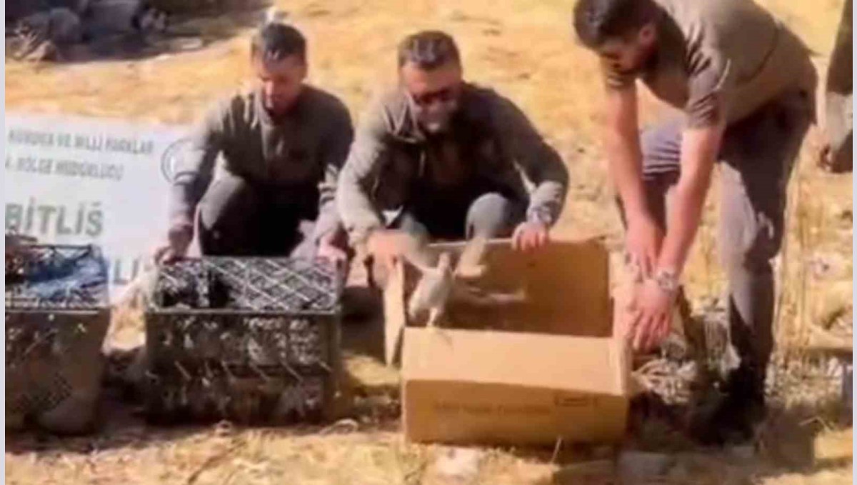 Bitlis'te Keklik ticaretine geçit verilmedi