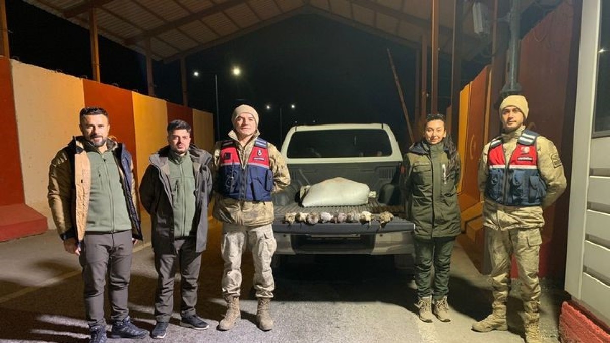 Bitlis'te kota aşımı yapan 2 avcıya 30 bin 582 idari para cezası uygulanacak