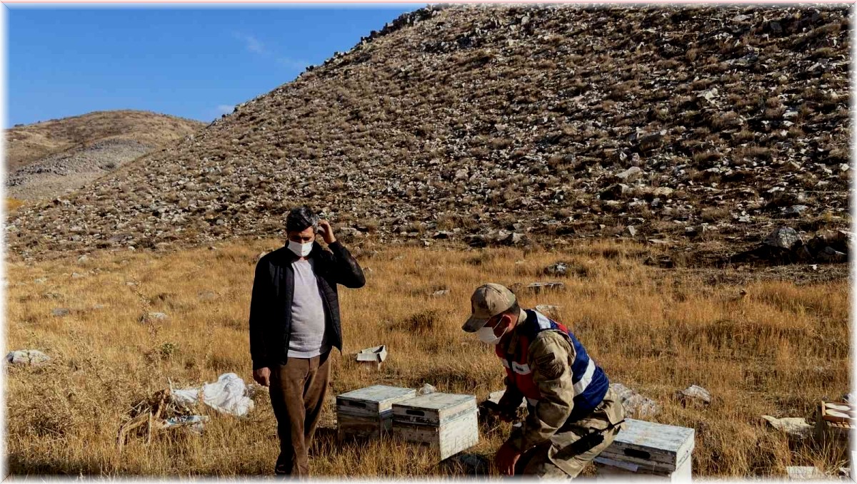 Bitlis'te küçükbaş hayvan ve arı kovanı çalan şahıslar yakalandı
