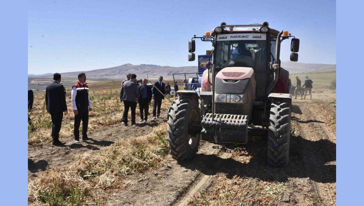 Bitlis'te kuru fasulye hasadında rekor: 37 bin ton üretim