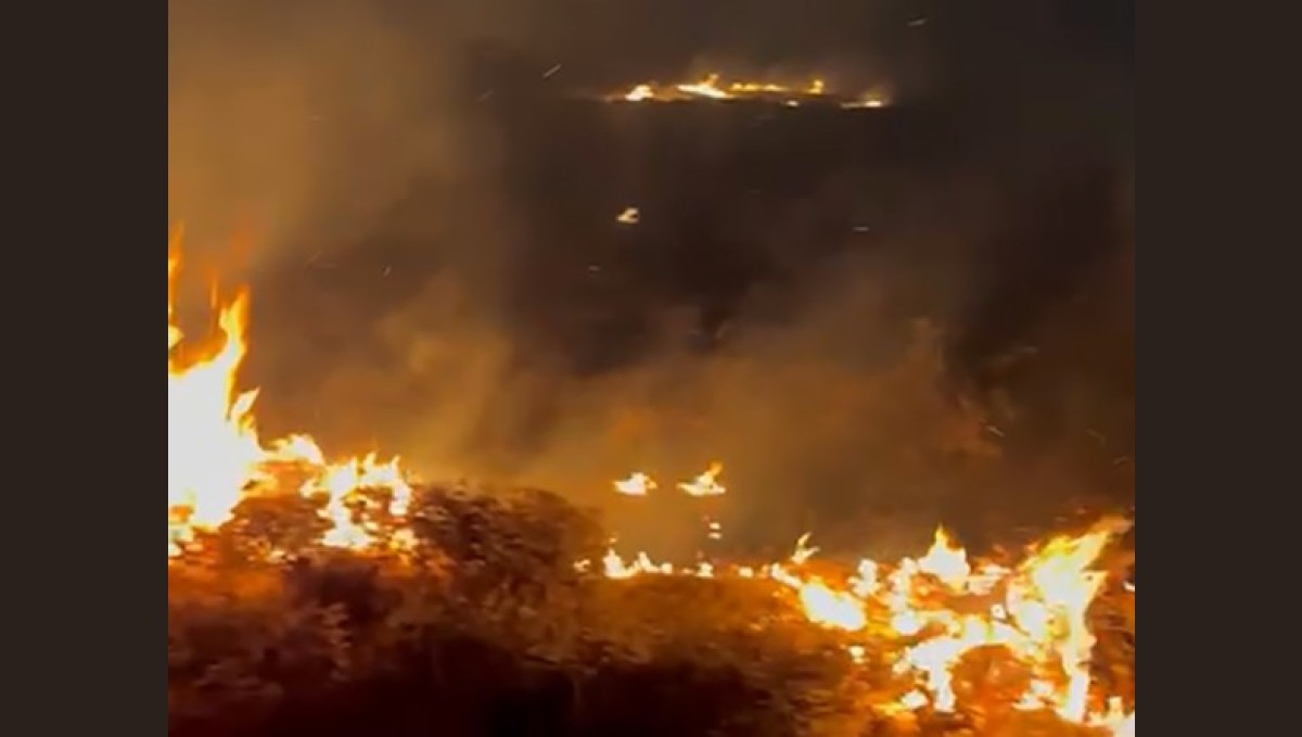 Bitlis'te örtü yangını